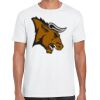 Mens Softstyle Tee Shirt Thumbnail