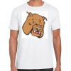 Mens Softstyle Tee Shirt Thumbnail
