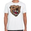 Mens Softstyle Tee Shirt Thumbnail