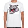 Mens Softstyle Tee Shirt Thumbnail