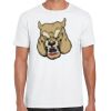 Mens Softstyle Tee Shirt Thumbnail