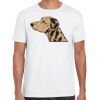 Mens Softstyle Tee Shirt Thumbnail