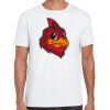 Mens Softstyle Tee Shirt Thumbnail