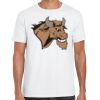 Mens Softstyle Tee Shirt Thumbnail