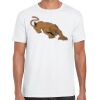 Mens Softstyle Tee Shirt Thumbnail