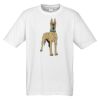 Mens Ice Tee Thumbnail